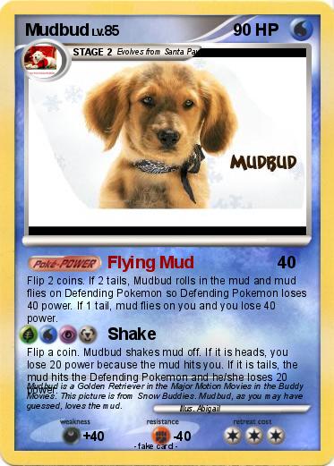 Pokemon Mudbud
