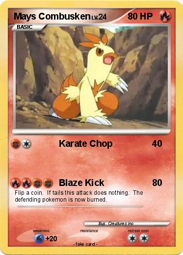 Pokemon Mays Combusken