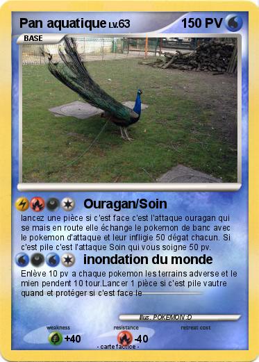 Pokemon Pan aquatique