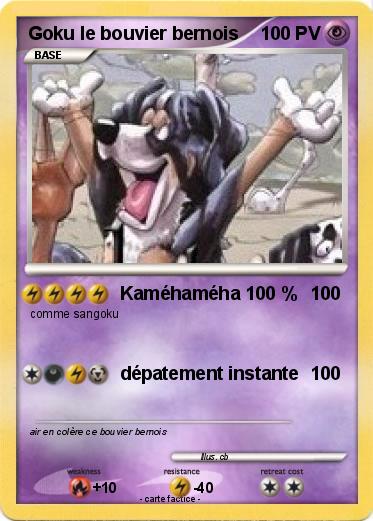 Pokemon Goku le bouvier bernois