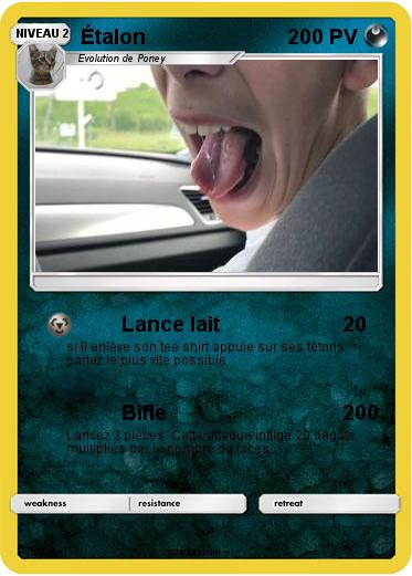 Pokemon Étalon