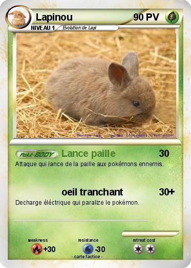 Pokemon Lapinou