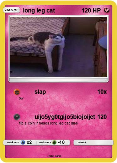 Pokemon long leg cat