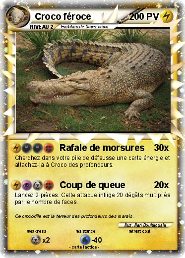 Pokemon Croco féroce