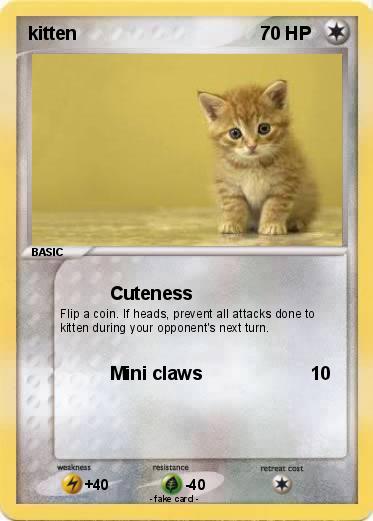 Pokemon kitten