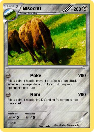 Pokemon Bisochu