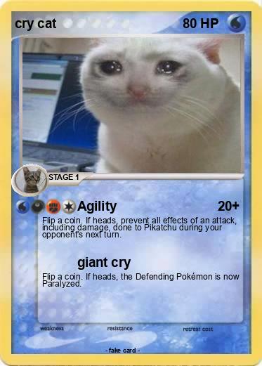 Pokemon cry cat