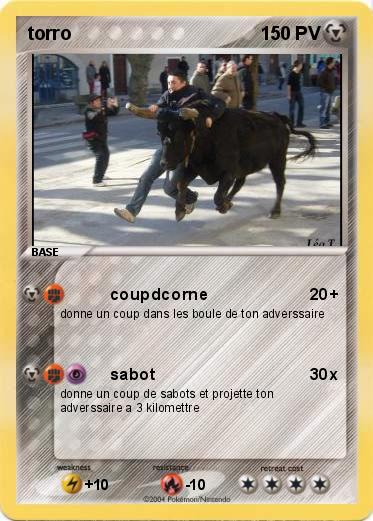 Pokemon torro 