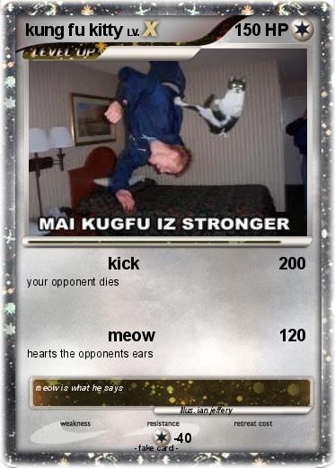 Pokemon kung fu kitty