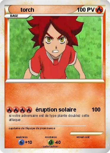 Pokemon torch