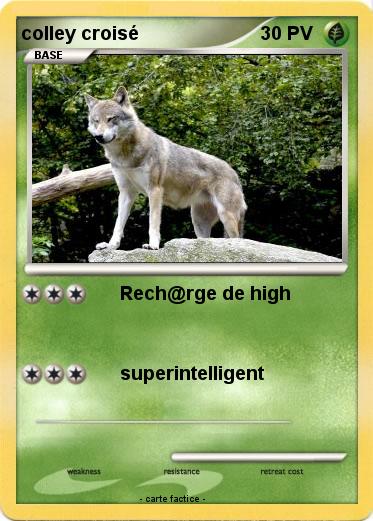 Pokemon colley croisé