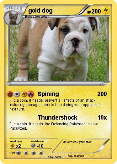 Pokemon gold dog