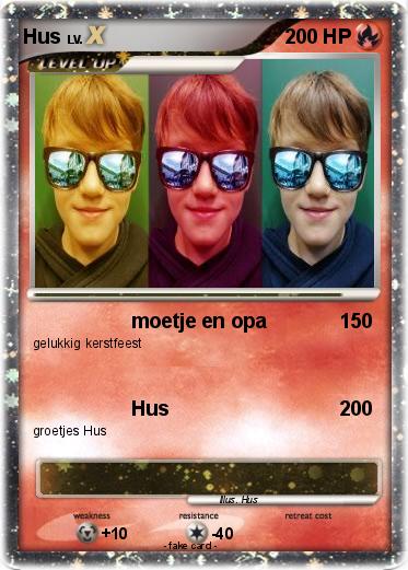 Pokemon Hus
