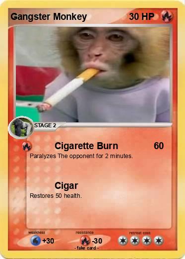 Pokemon Gangster Monkey