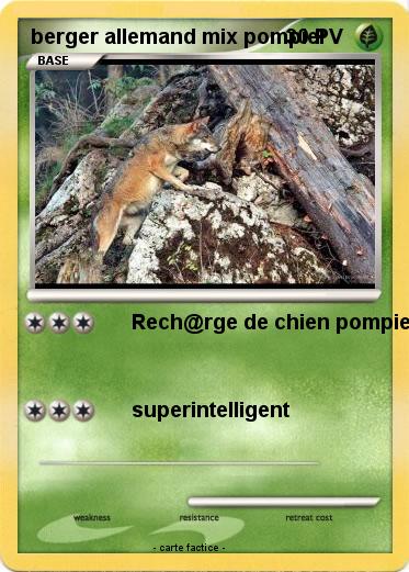 Pokemon berger allemand mix pompier