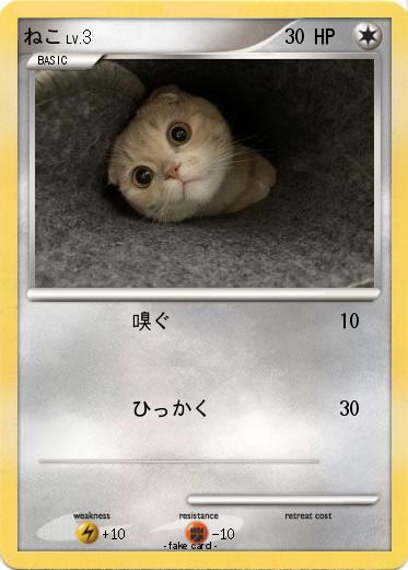 Pokemon ねこ