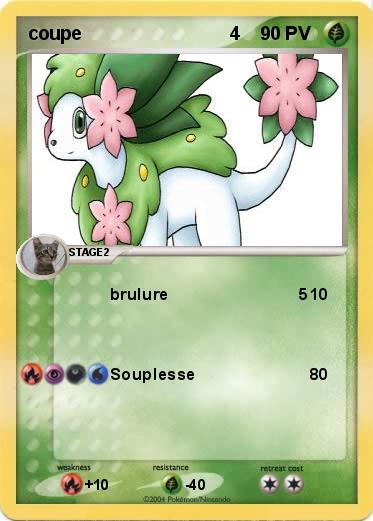 Pokemon coupe                             4