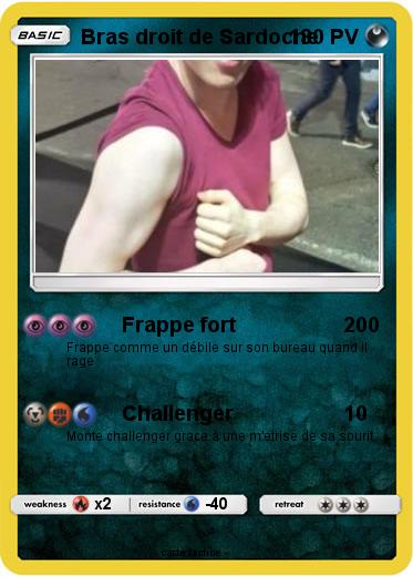 Pokemon Bras droit de Sardoche