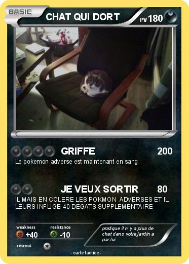 Pokemon CHAT QUI DORT