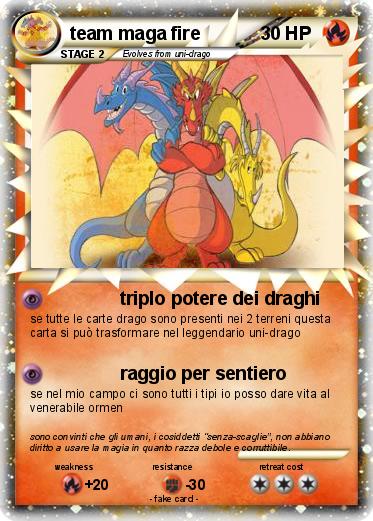 Pokemon team maga fire