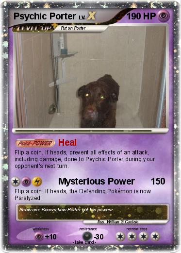 Pokemon Psychic Porter