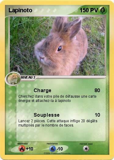 Pokemon Lapinoto
