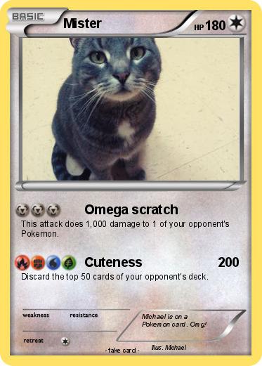 Pokemon Mister