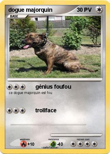Pokemon dogue majorquin