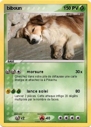 Pokemon biboun