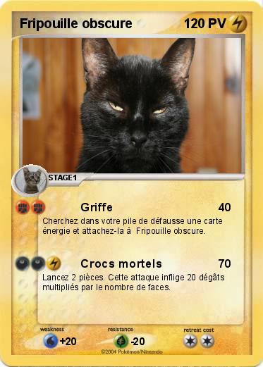 Pokemon Fripouille obscure