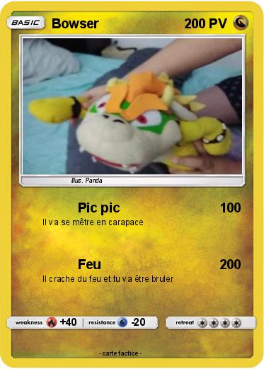 Pokemon Bowser