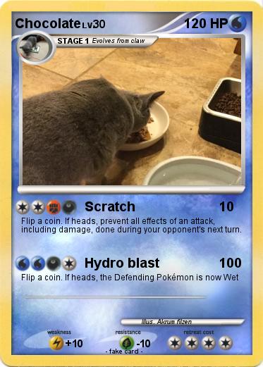 Pokemon Chocolate