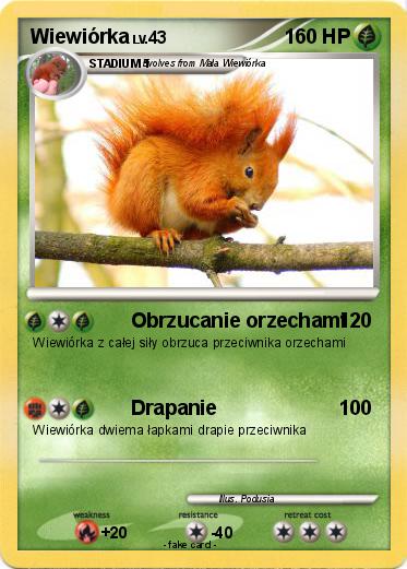 Pokemon Wiewiórka