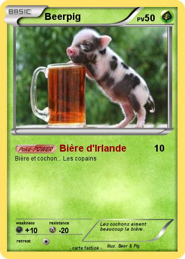 Pokemon Beerpig