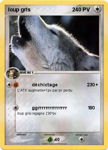 Pokemon loup gris                            2