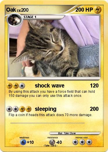 Pokemon Oak