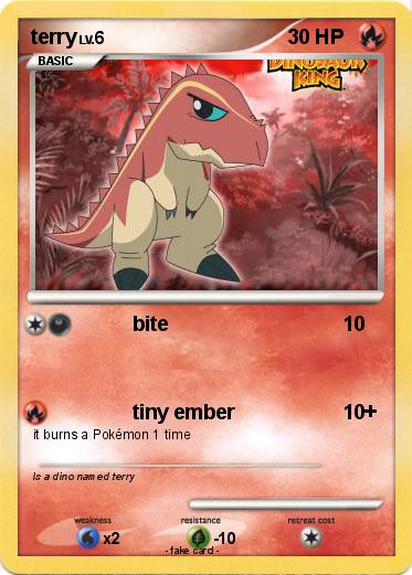 Pokemon terry