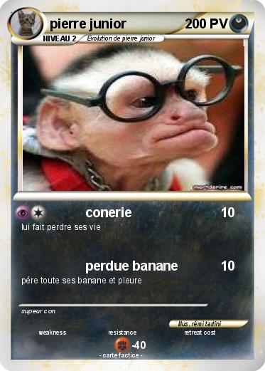 Pokemon pierre junior