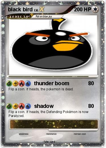 Pokemon black bird