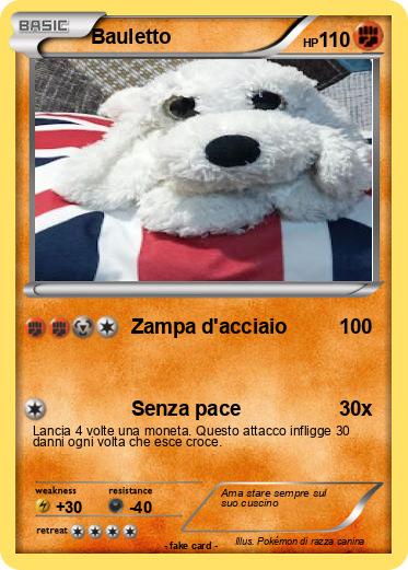 Pokemon Bauletto