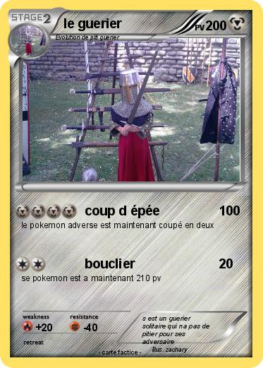 Pokemon le guerier
