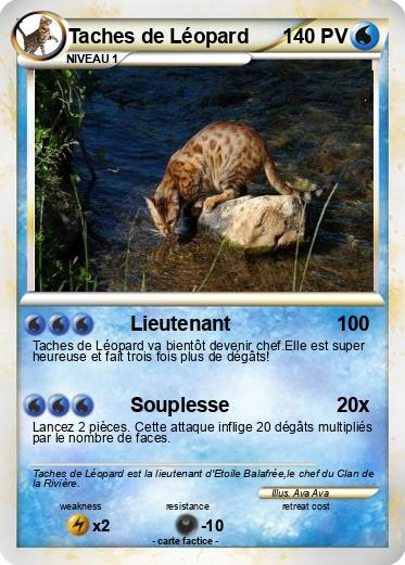 Pokemon Taches de Léopard