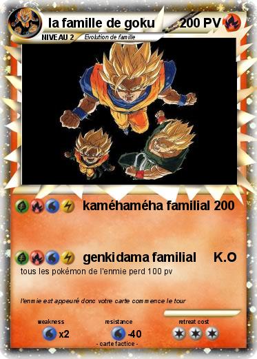 Pokemon la famille de goku
