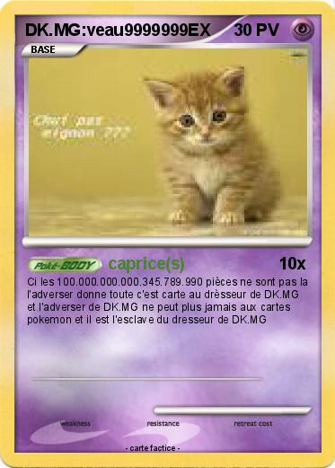 Pokemon DK.MG:veau9999999EX
