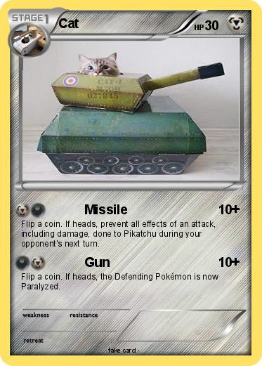 Pokemon Cat