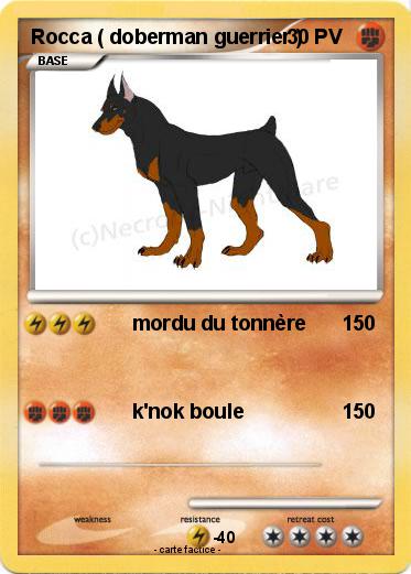 Pokemon Rocca ( doberman guerrier )