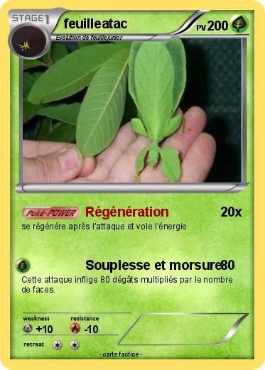 Pokemon feuilleatac