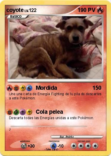 Pokemon coyote