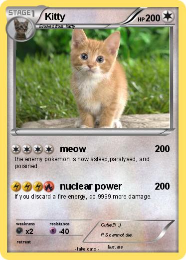 Pokemon Kitty