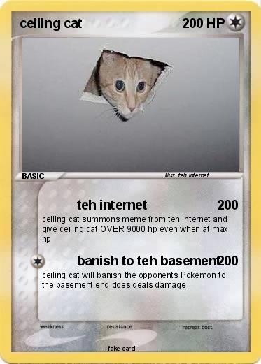 Pokemon ceiling cat